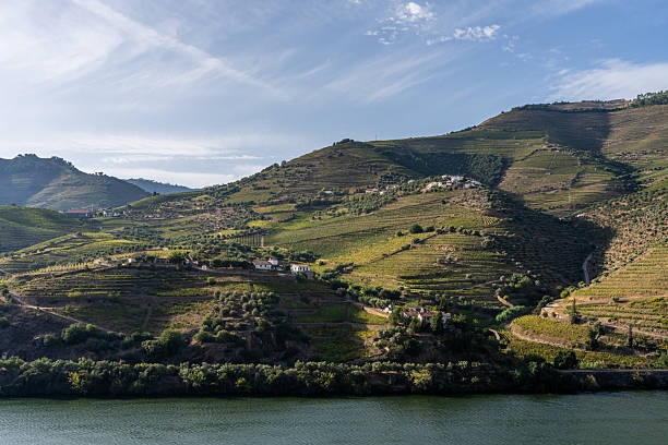istock The Douro Valley during sunrise. 2227103556
