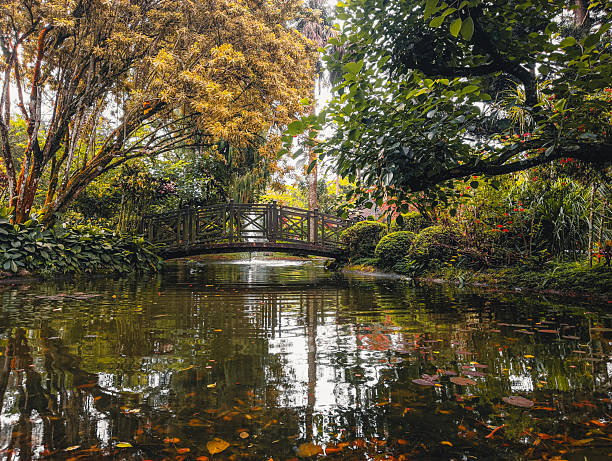 istock fish pond in the flower garden 2227111856