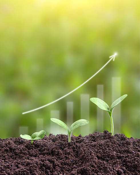 istock Seedling are growing from soil with business growth 2227112613