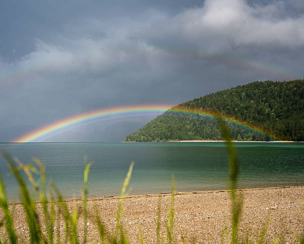 istock ElegaVibrant Rainbow Over Turquoise Lake: Post-Storm Serenity with Forested Hills & Dramatic Sky – Nature Wonder Stock Photont Grey Heron in Field: Alert Wild Bird Standing Amidst Green Grass with Vineyard Background – Wildlife Nature Stock Photo 2227112979