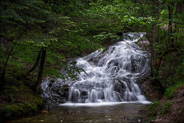 istock Serene Forest Waterfall: Long Exposure Captures Silky Water Cascading Amidst Lush Green Trees and Mossy Rocks – Nature's Tranquility 2227113973