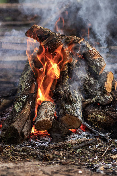 Vibrant Campfire Flames and Smoke