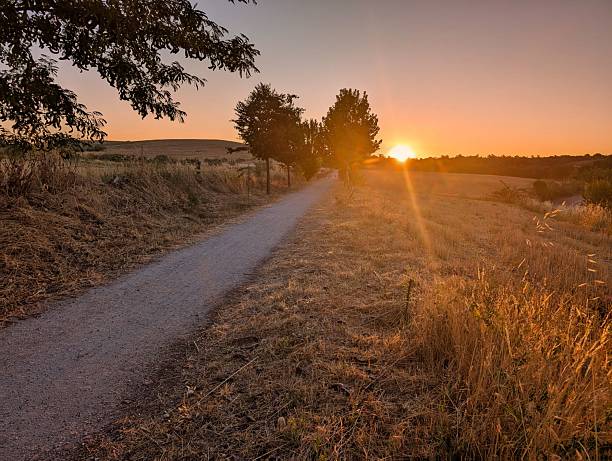 A tranquil path is illuminated by a vibrant sunset, casting warm tones across dry fields and silhouetting trees. This rural setting invites serenity and reflection.