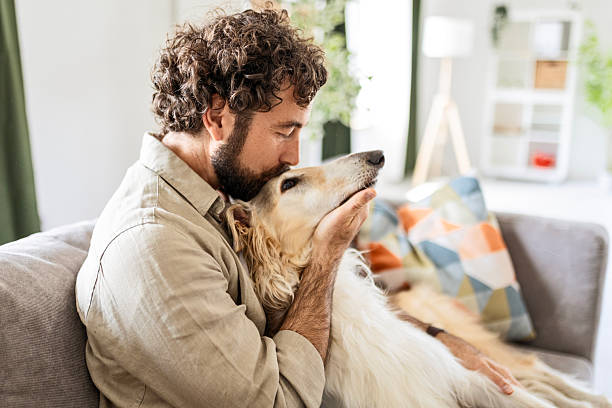 istock Dog Receiving Gentle Affection from Caring Owner 2227116837