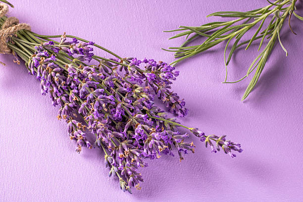 istock Vibrant lavender bouquet with green stems against a soft lavender background 2227120340
