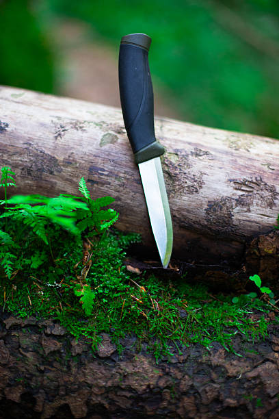 istock camping knife on a log in the forest 2227127644