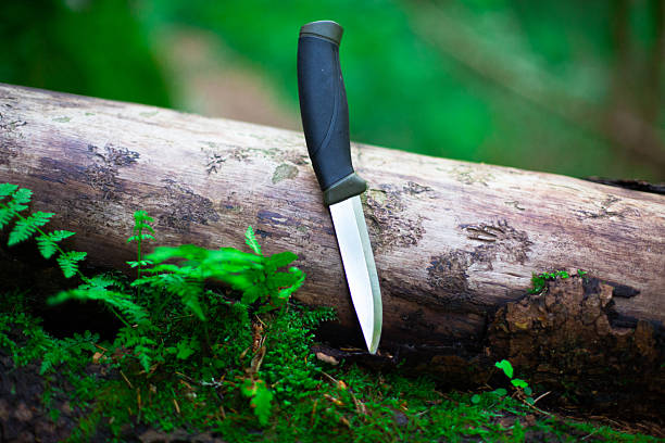 istock camping knife on a log in the forest 2227127645