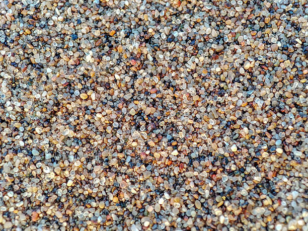 A top-down macro view of small multicolored beach pebbles, showcasing natural texture and variety. Perfect for concepts like nature, background textures, and summer beach themes.