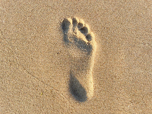 istock Footprint in sand on the beach on a sunny day 2227134206