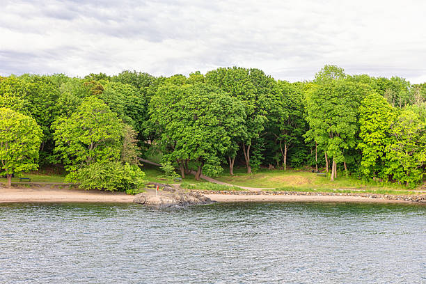 Tranquil shoreline scene with lush greenery meeting the calm water. Coastal parkland in Norway surrounded by mature trees