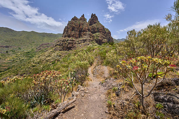 istock Trail across volcanic ridge in Teno 2227135919