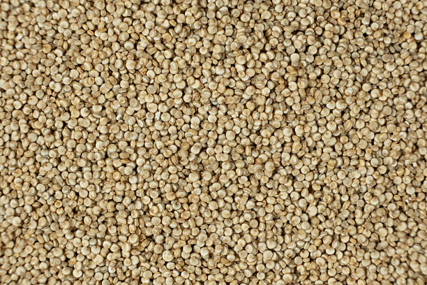 istock Uncooked White Quinoa Macro Top View. Natural Grain Background 2227136680