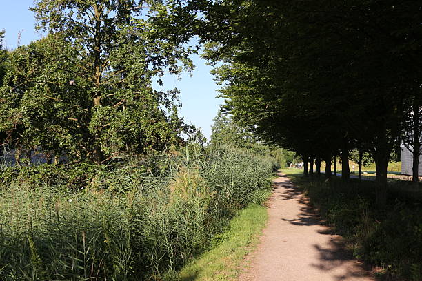 istock Impressions from Castrop-Rauxel in the Ruhr area 2227138824