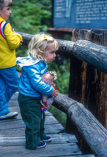 istock Darlingtonia Wayside - Girl Examines Exhibit - 1983 2227141296