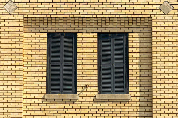 Sunrays falling on a wall during Golden Hour