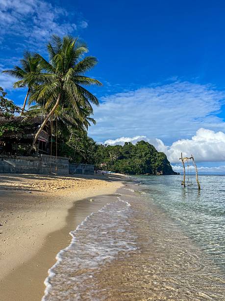 istock Tropical Beach with Palm Trees and Blue Sky 2227150111