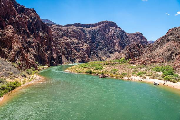 Scenic view of the Colorado River winding through the Grand Canyon under a clear blue sky with rugged cliffs and sparse vegetation.