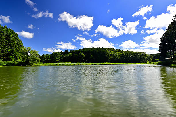 Ryuo-ga-buchi, a Takayama pond surrounded by fresh greenery