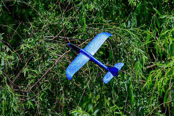 There is a toy glider hanging on the tree.