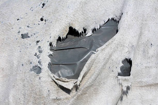 Weathered geotextile fabric displays multiple large holes and frayed edges, revealing a dark plastic liner underneath, highlighting wear in construction or landscaping ground cover