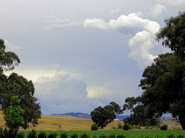 istock Mansfield,  Victoria, Australia 2227161560