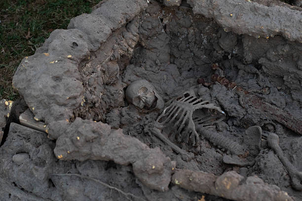 istock Fake human skeleton partially buried in soil during excavation 2227165111