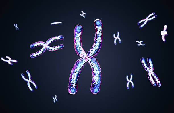 istock Transparent chromosome x contain dna strand inside 2227165502