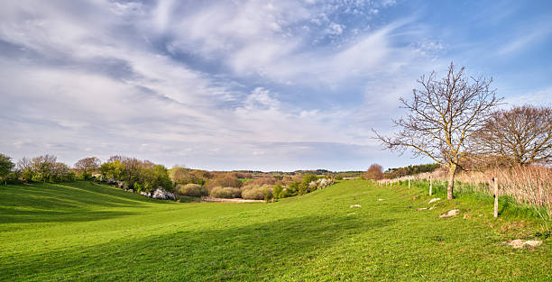 The image showcases a serene landscape in Denmark during spring, featuring lush green hills, vibrant trees, and a clear blue sky. It captures the essence of tranquility and natural beauty.