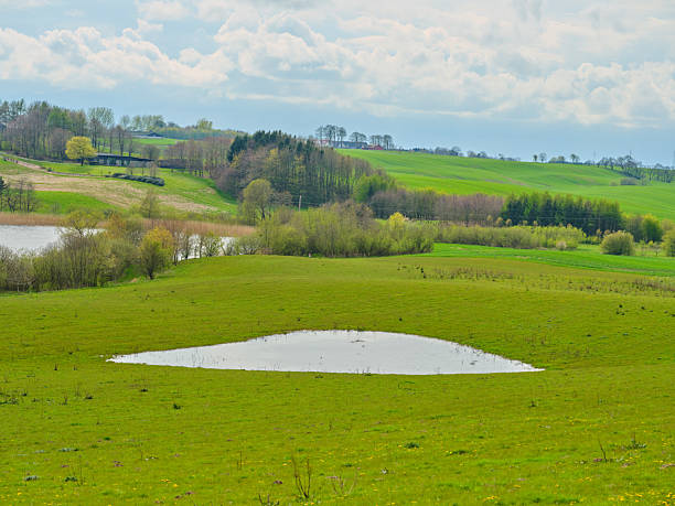 Experience beauty in nature with this idyllic view of Denmark's countryside, featuring verdant fields, serene water reflections, and a tranquil horizon. Perfect for promoting scenic and peaceful environments.