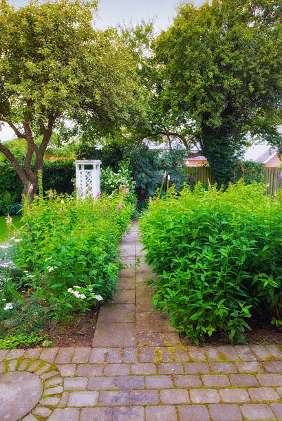 istock Lush Danish Garden with Greenery, Foxgloves, and Paved Path 2227166576