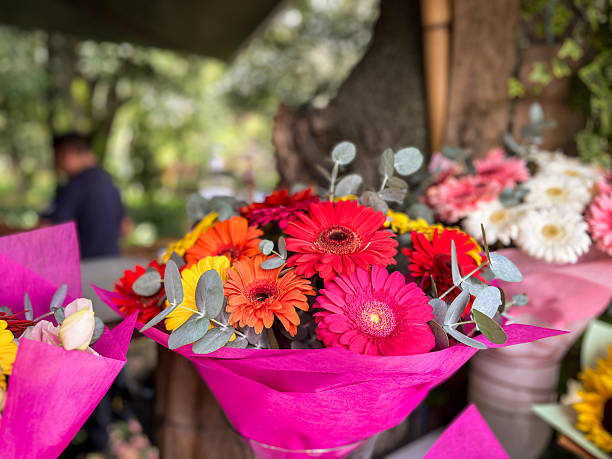 istock Colorful gerbera bouquet wrapped in pink paper 2227169299