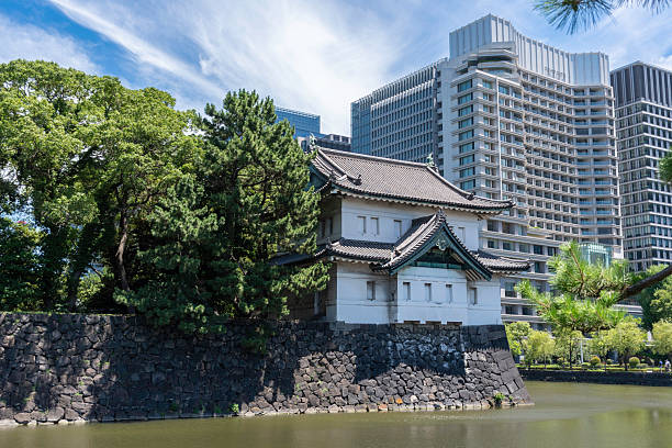 beautiful pine trees and green lawn near Tokyo Imperial Palace , raining, skyscrapers city view in the background