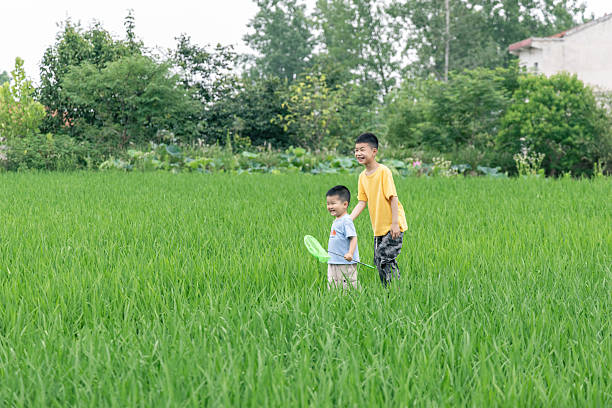 Two boys are enjoying their time in a lush green field. They are standing among the tall grass, one wearing a yellow t-shirt and the other in a blue shirt. The surrounding area is filled with greenery and trees, creating a natural and peaceful outdoor environment where they seem to be engaged in a playful activity.