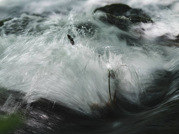 A long exposure shot of a river flowing through the forest