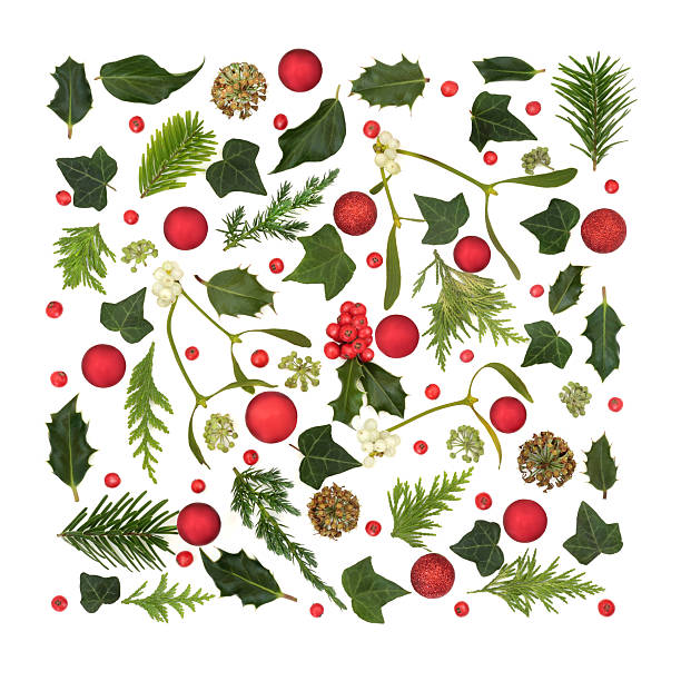 Christmas traditional winter greenery and holly with loose red berries, sphere shape bauble decorations, Square shape festive design for holiday season.