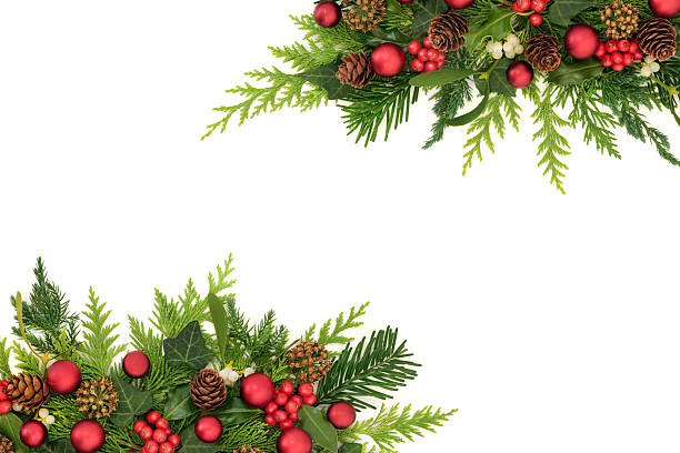 istock Festive Christmas Decorations with Nature Flora 2227192063