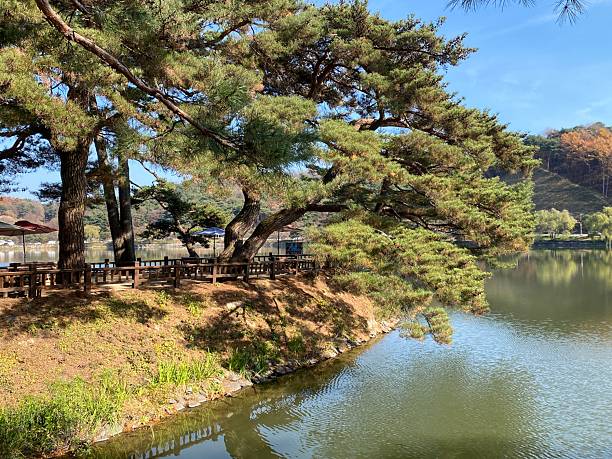 istock Peaceful Reflections at Uirimji and a Refreshing Walk in Jecheon, South Korea. 2227192709