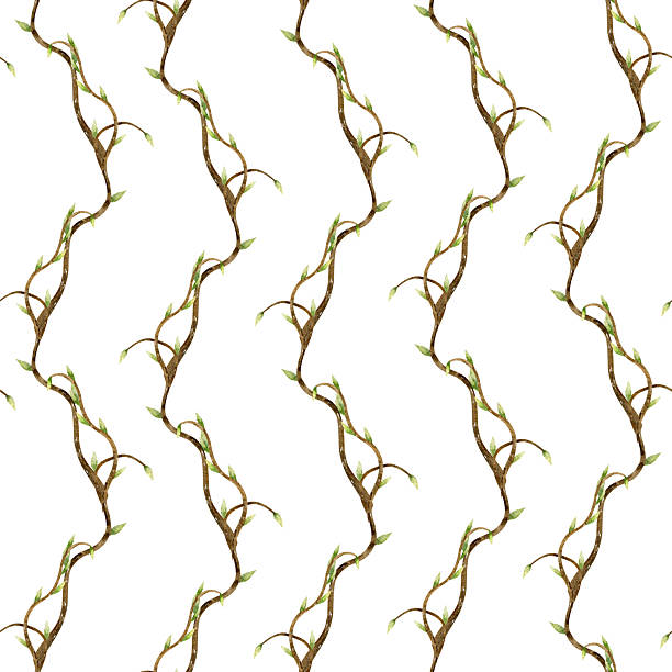 istock Hand drawn watercolor spring branches and green leaves. Seamless pattern on white background. 2227195162