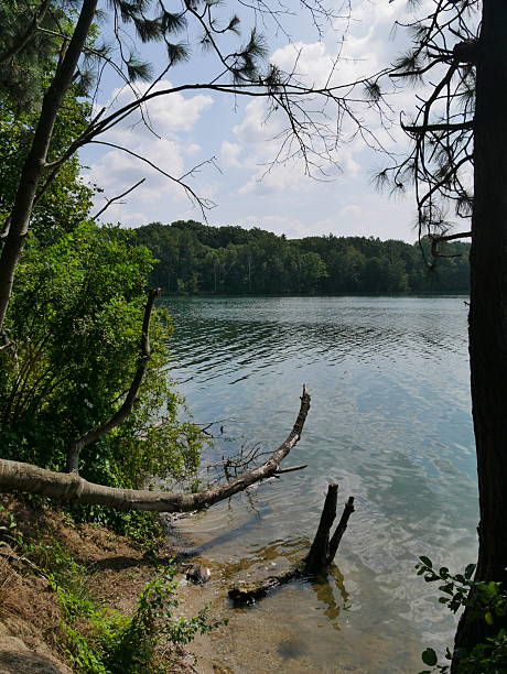 istock View through the trees of the Effelder Waldsee 2227195990