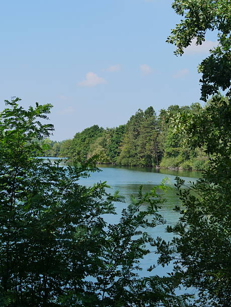 istock View through the trees of the Effelder Waldsee 2227196004