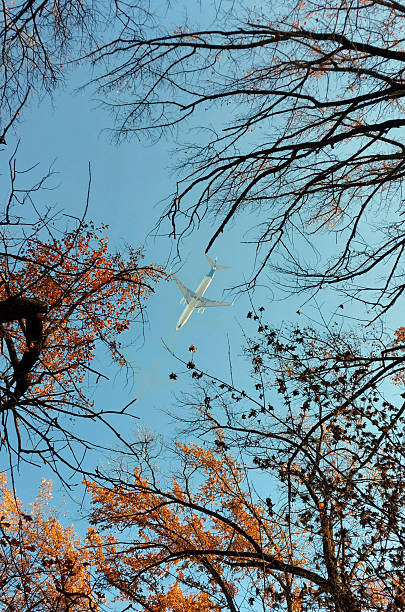 istock Passenger Airplane Flying Over Autumn Trees Against a Blue Sky 2227197281