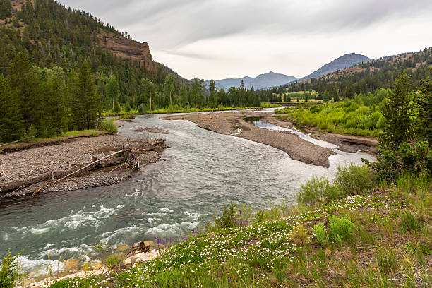 istock Picturesque river landscape in summer 2227199475