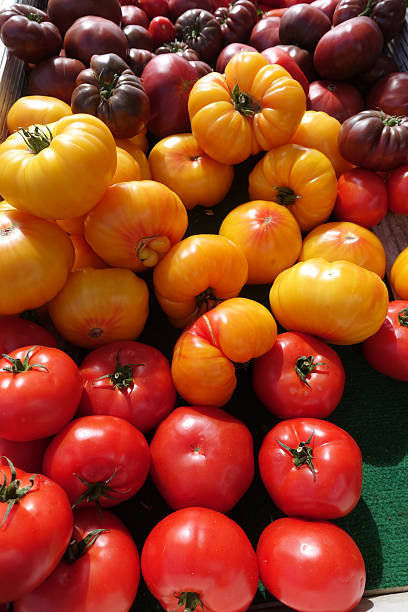 istock Various tomatoes  Old varieties on a market stall 2227201569
