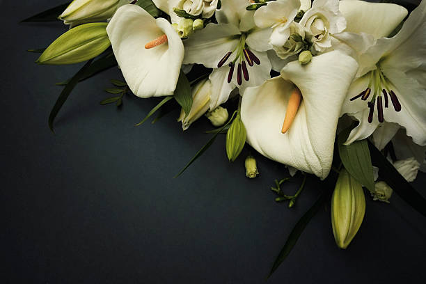 White delicate calla lily flowers composition, condolence flower background card, funeral concept image
