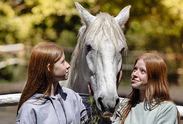 Young Girl petting a Horse. 