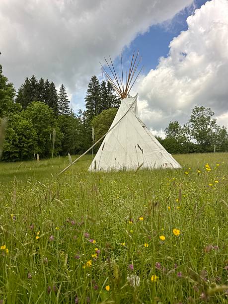 istock Teepee is in a field of grass and flowers 2227207765