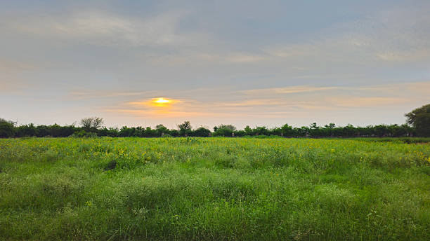 istock Beautiful sunset view with green grass land. 2227208003