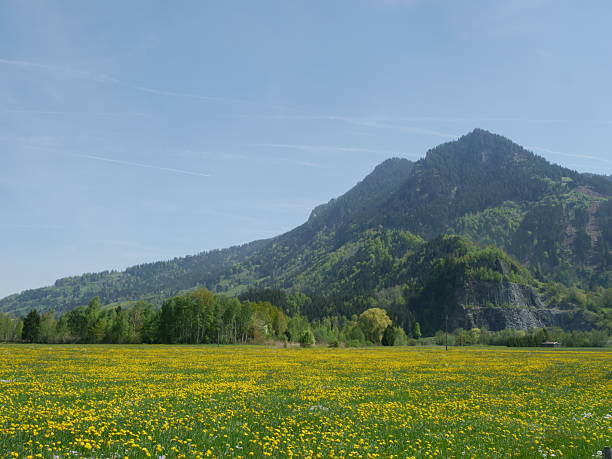 istock Large mountain range is visible in the distance, with a clear blue sky above 2227210199