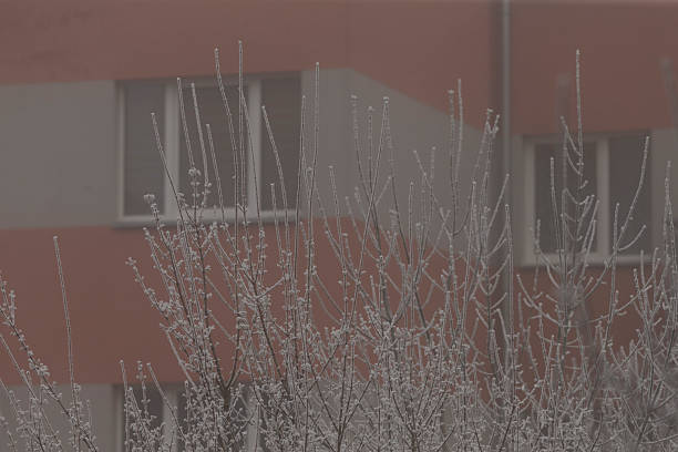 istock A large building with many windows and trees in front 2227210626