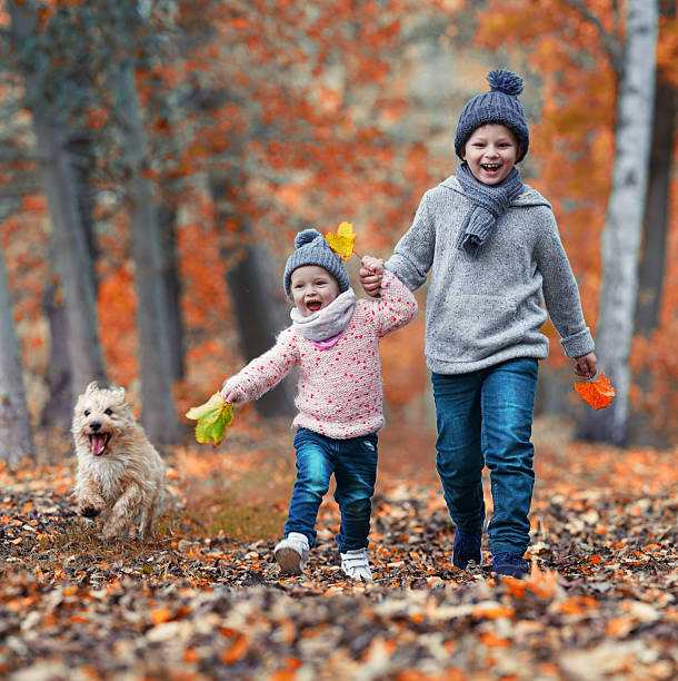 active children with their dog walking in the autumn forest